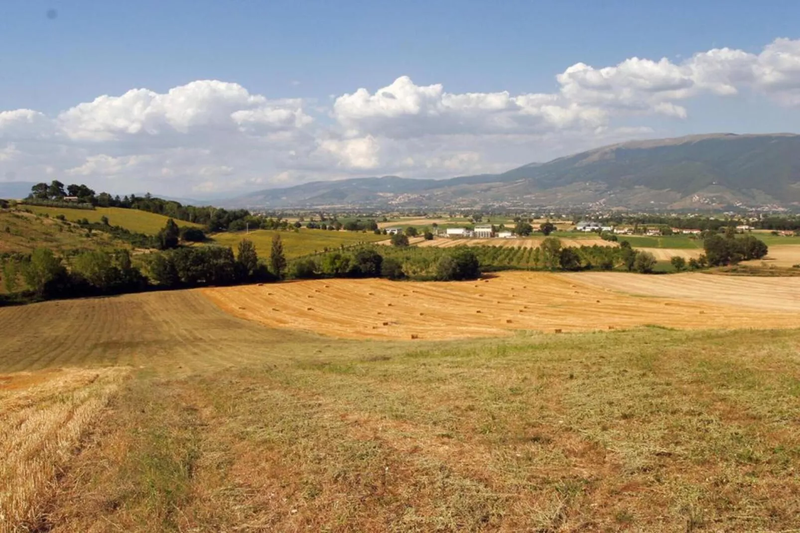 Colombaia-Areas within 20km in summer