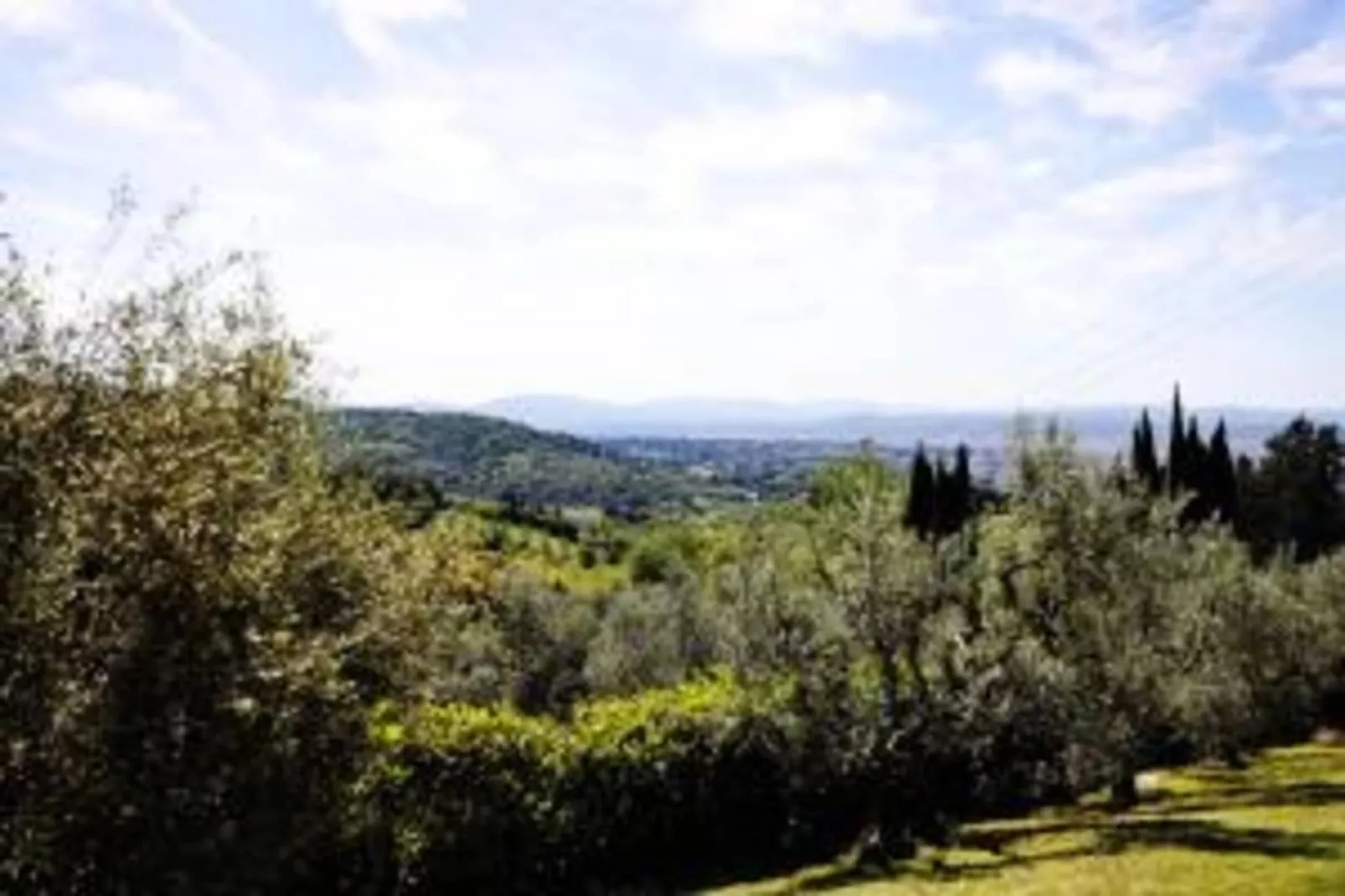 I Tini-Areas within 20km in summer