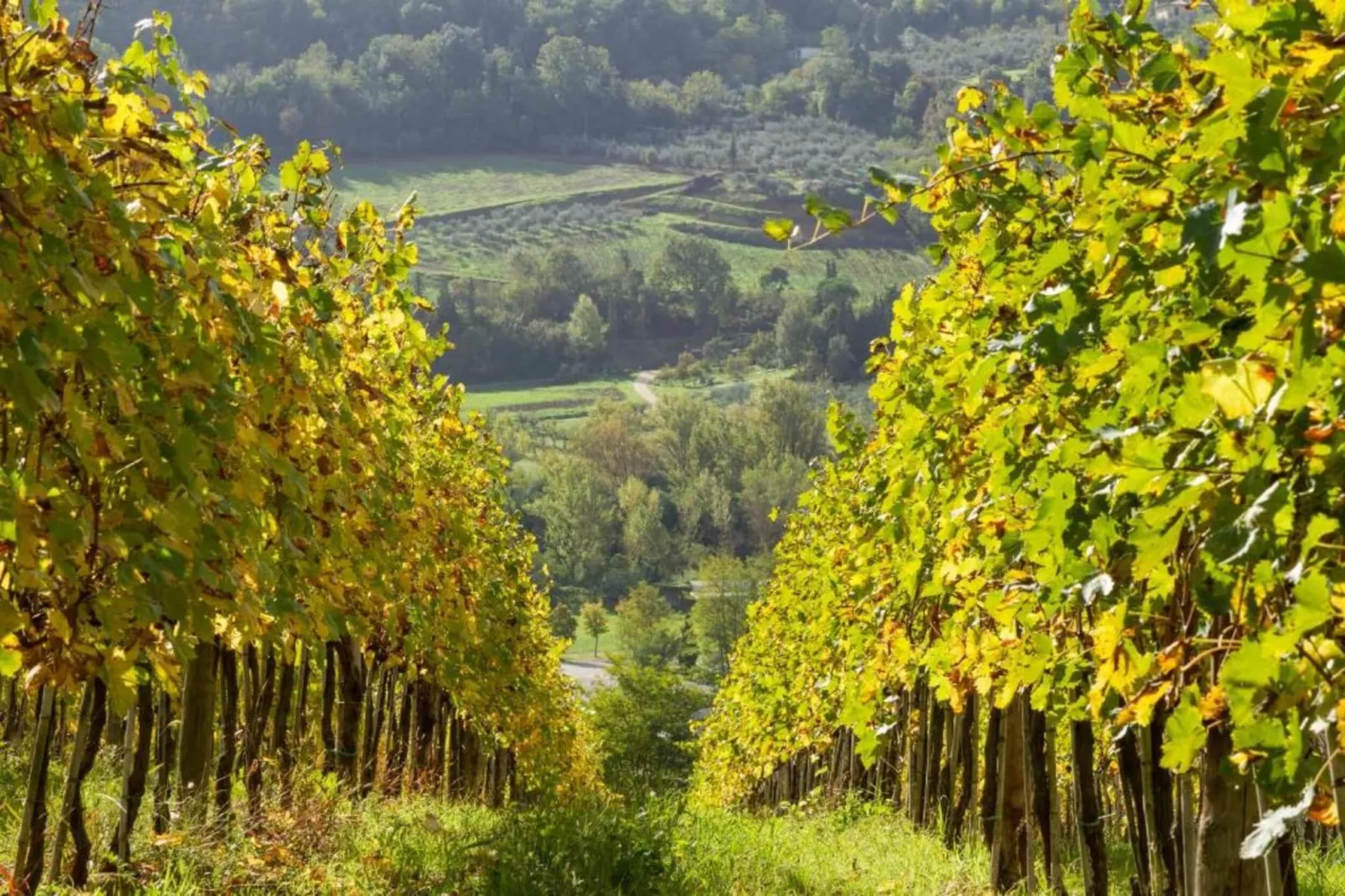 Il Camino-Areas within 20km in summer