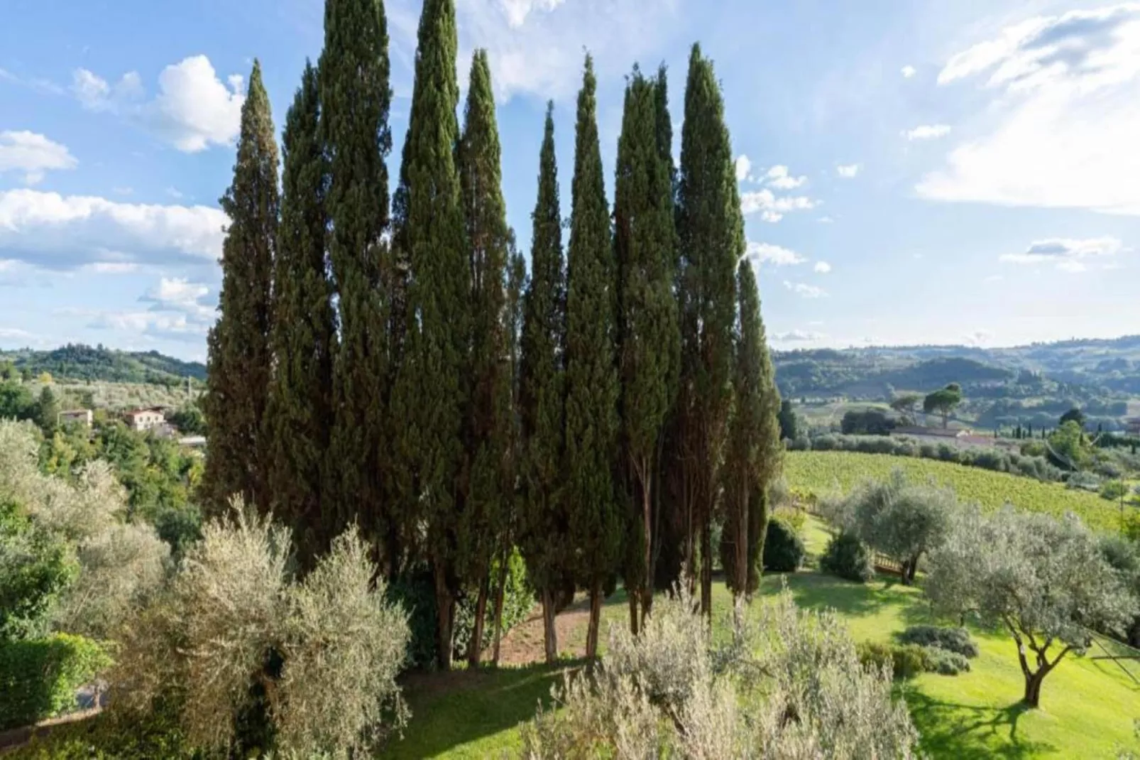 Casalini 2-Areas within 5km in summer