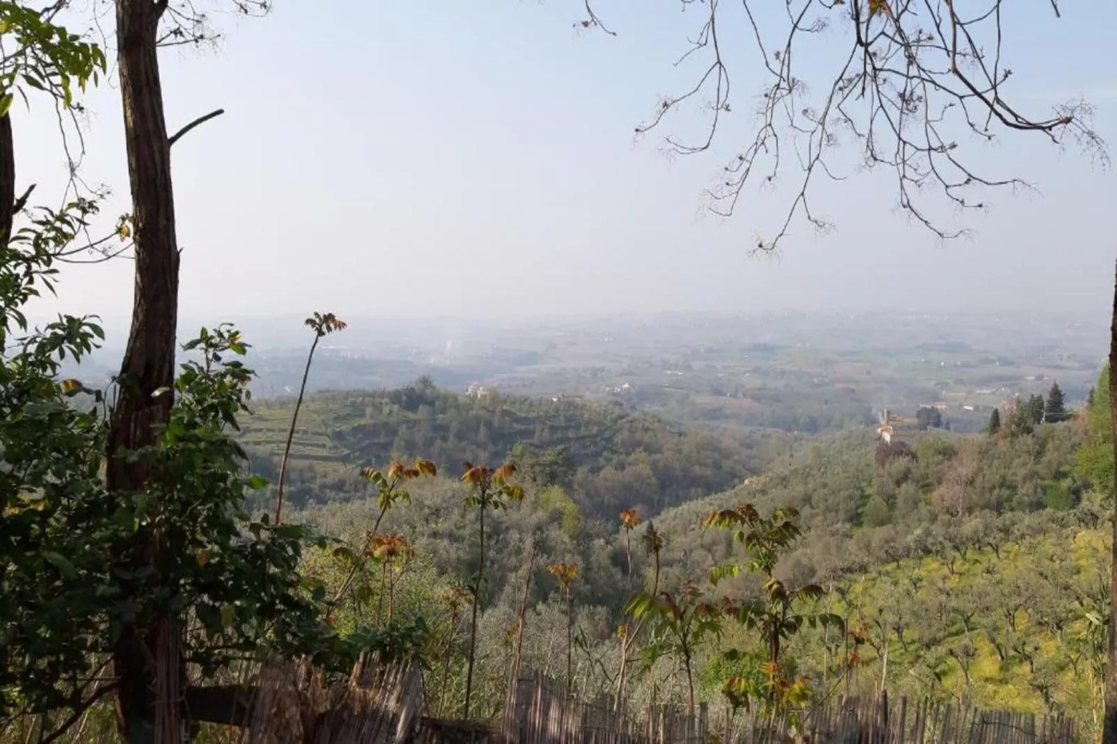 Leonardo-Areas within 5km in summer