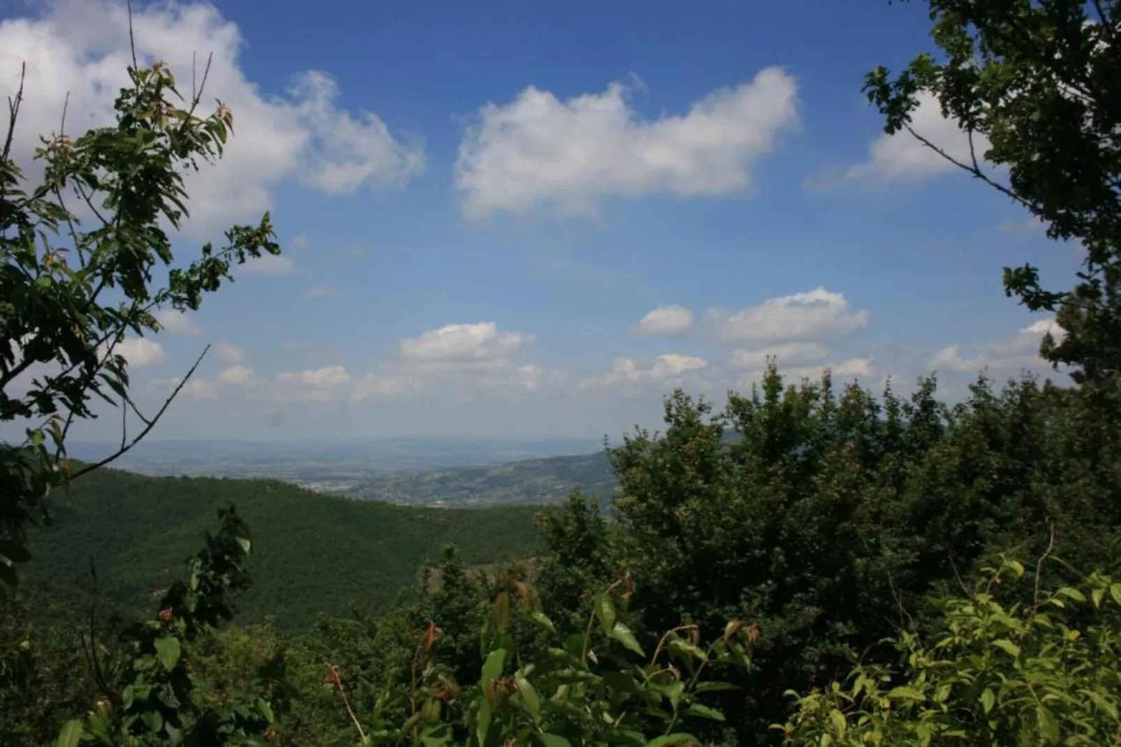 Camillo-Areas within 20km in summer