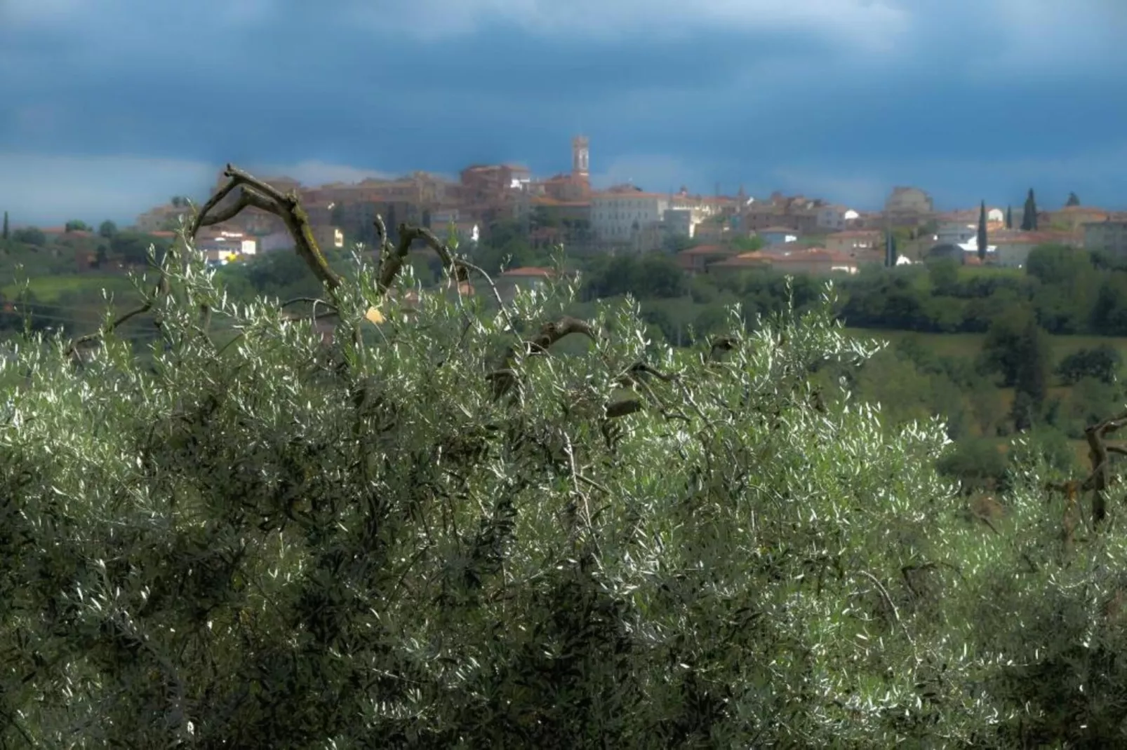 Castagno del Riccio-Areas within 5km in summer
