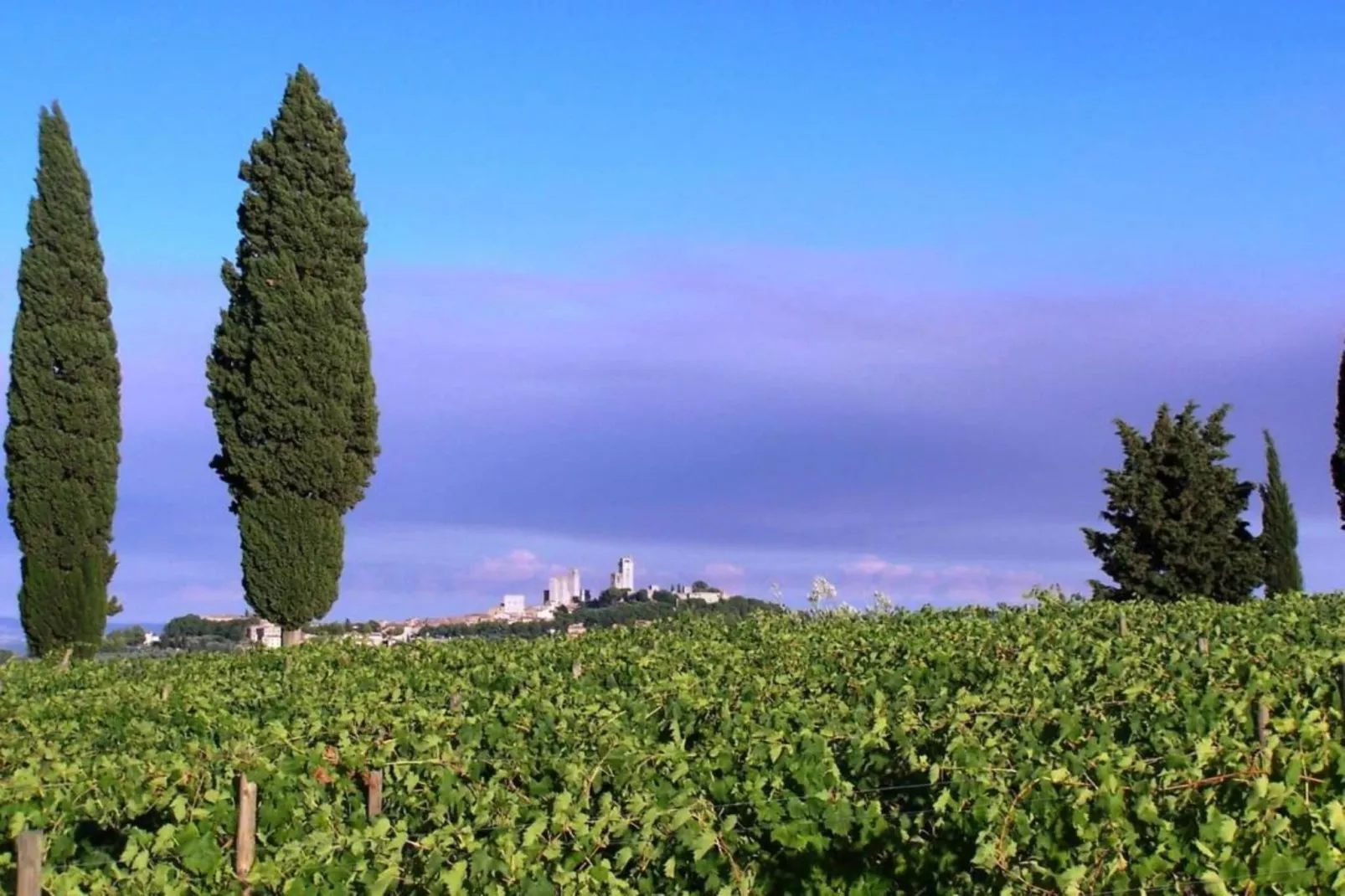Casa Le Meridiane-Areas within 20km in summer