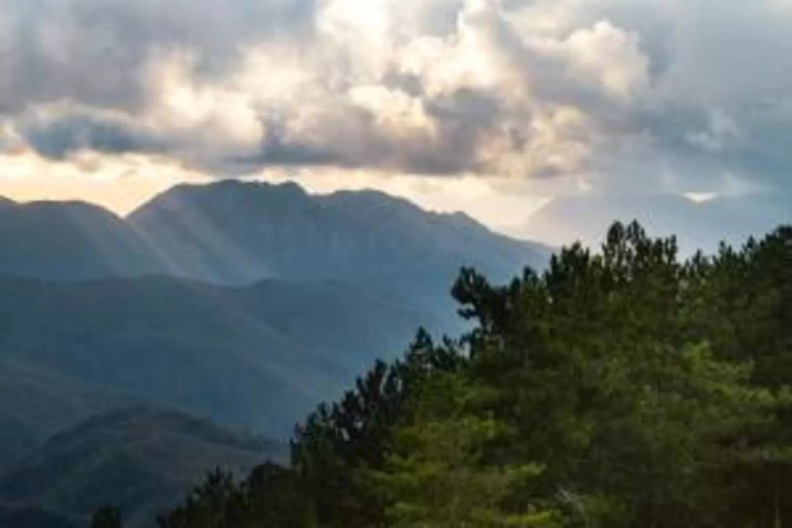 Renzo-Areas within 20km in summer