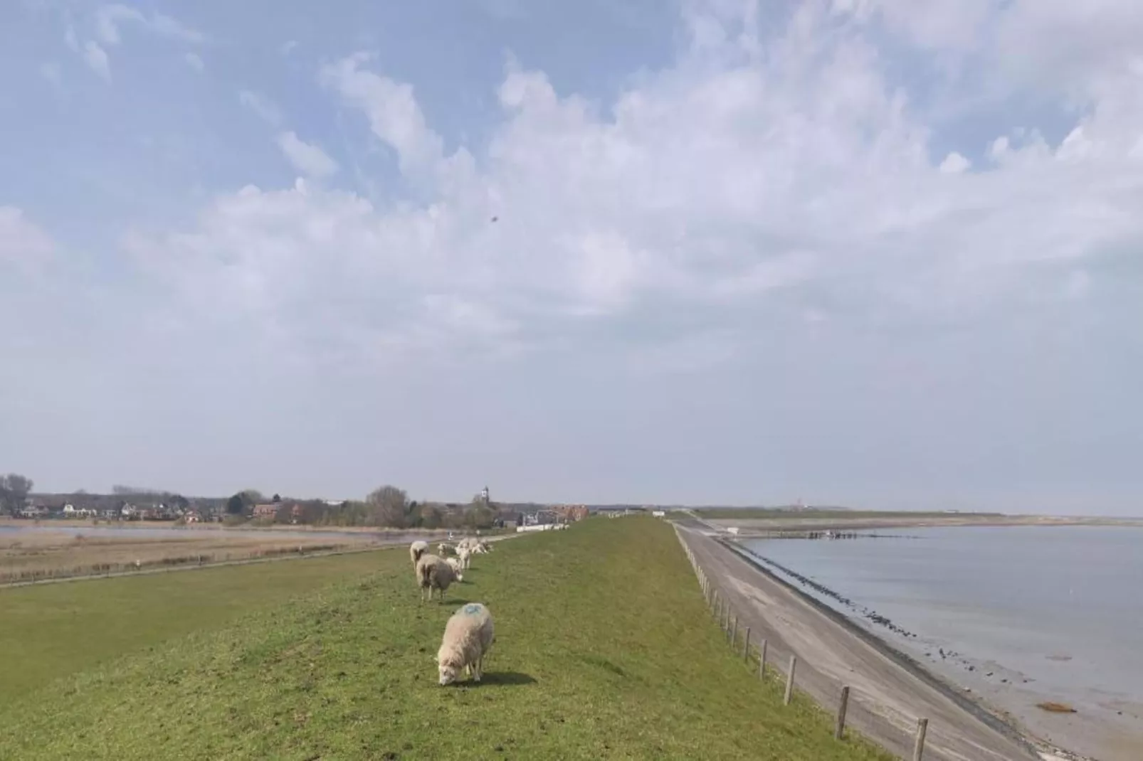 Kustpark Texel 3-Gebiete Sommer 20 km