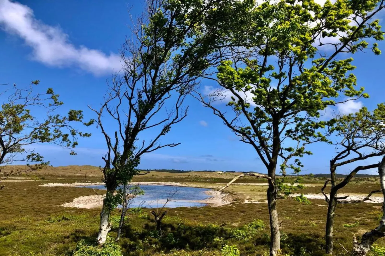De Beukelaar 4 pers-Areas within 20km in summer
