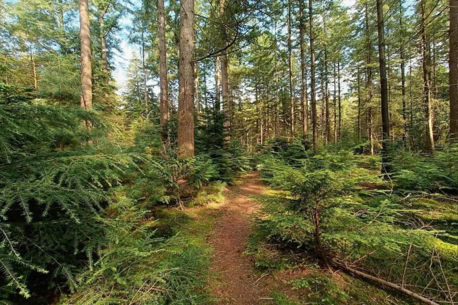 De Veluwse Hoevegaerde 3-Areas within 5km in summer