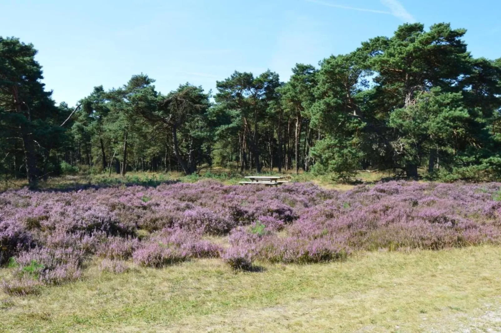 Koperwiek-Zones été à 20 km