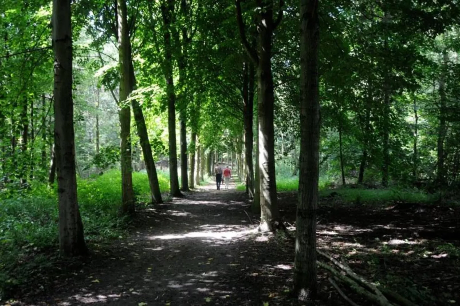 Barok Harderwijk 325-Areas within 20km in summer