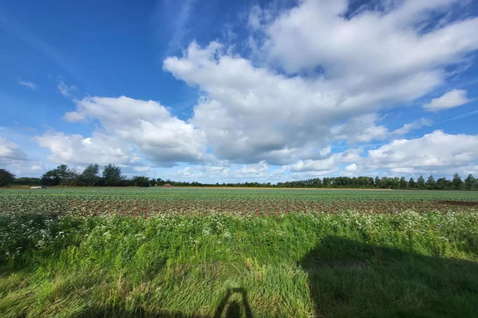 Studio - Kon Emmaweg 6-Areas within 20km in summer