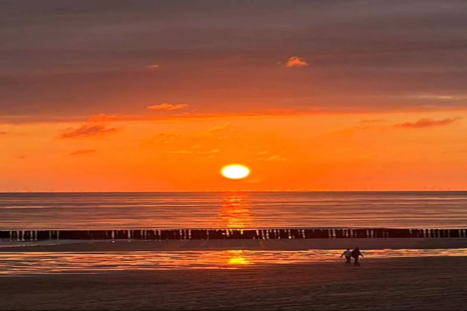 Noordzee Résidence Dishoek 12 - Gebiete Sommer 5 km