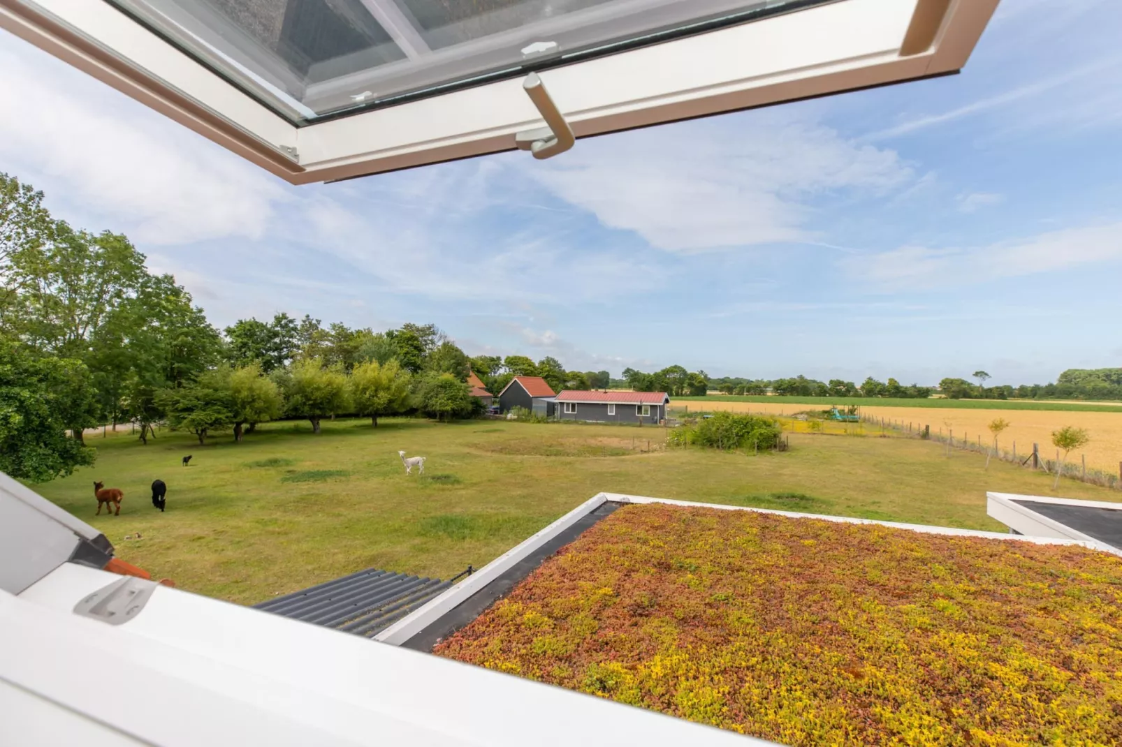 Vakantiehuis Groeneweg 3 'Jikkemien-View in summer