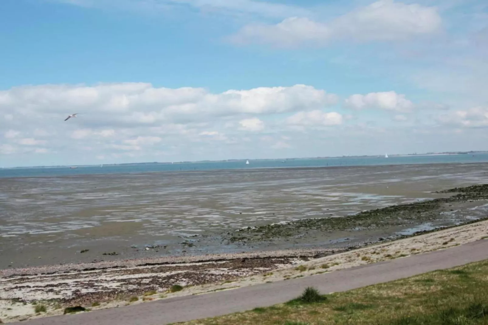 Rust & Ruimte Oosterschelde-Areas within 5km in summer