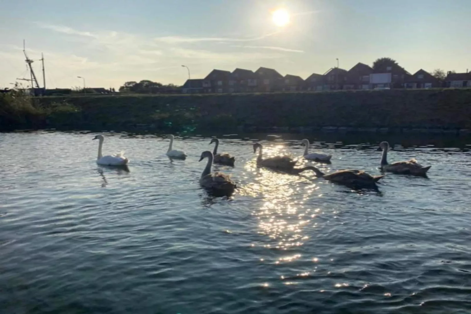 Resort Waterrijk Oesterdam 6-Areas summer 20km