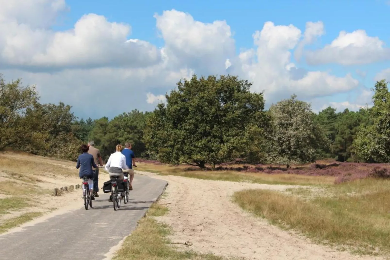 Recreatiepark Duinhoeve 11-Areas within 20km in summer
