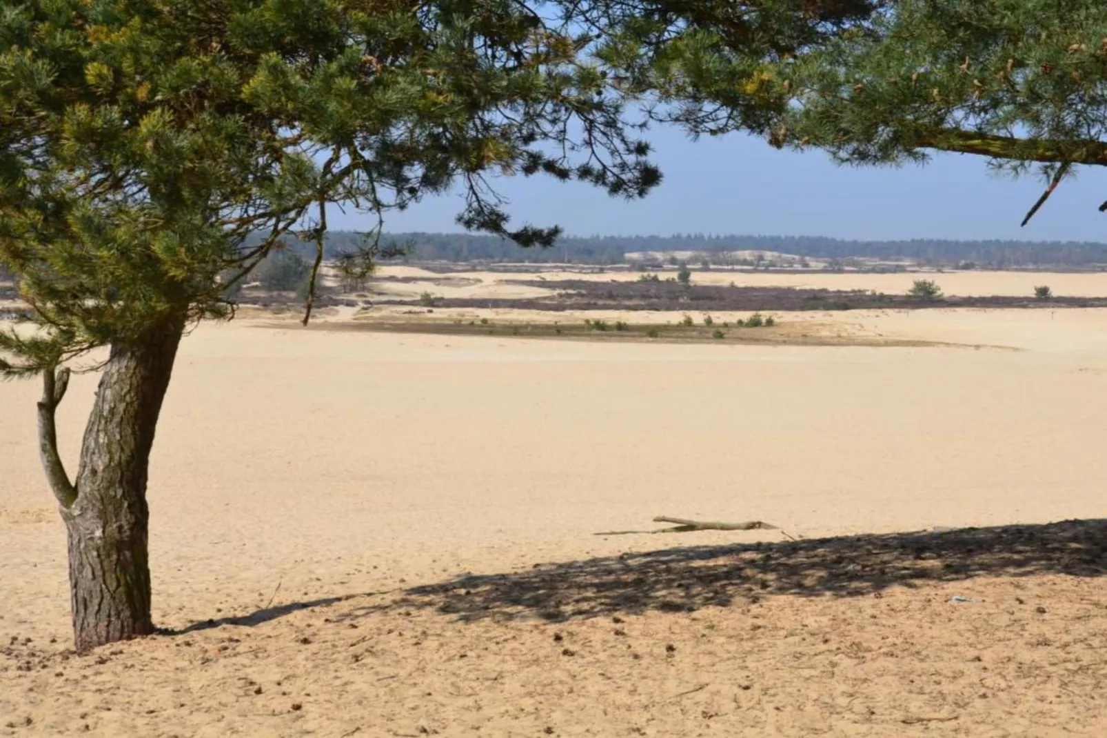 Recreatiepark Duinhoeve 12-Gebiete Sommer 20 km