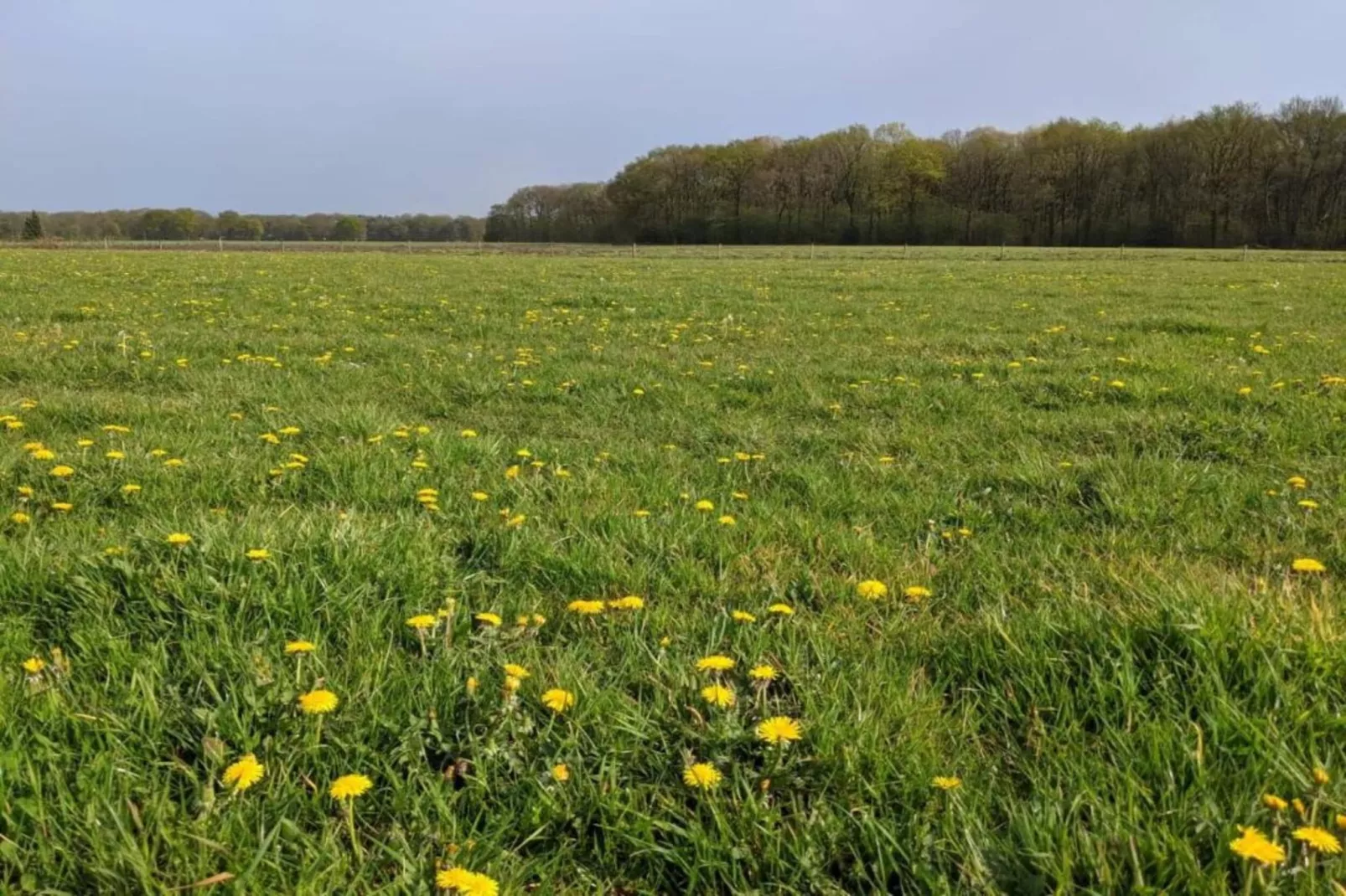 Parc de Kievit 2 - Gebiete Sommer 20 km