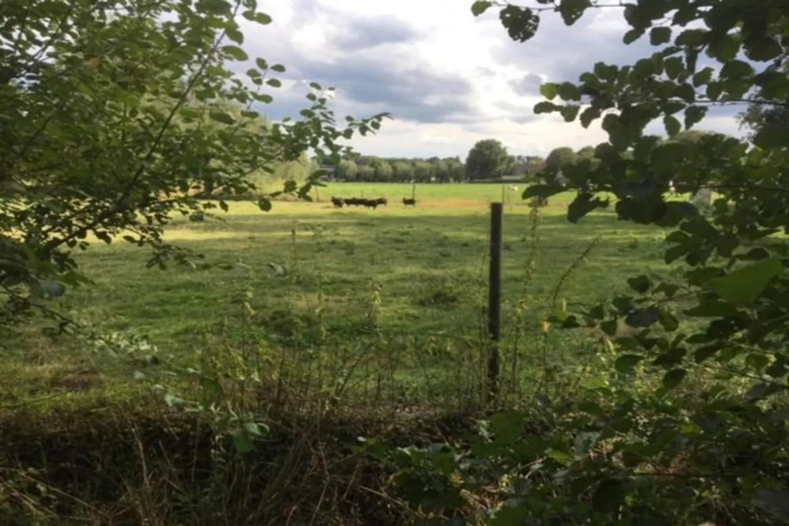 Vakantiepark Sandberghe 11-Gebiete Sommer 20 km