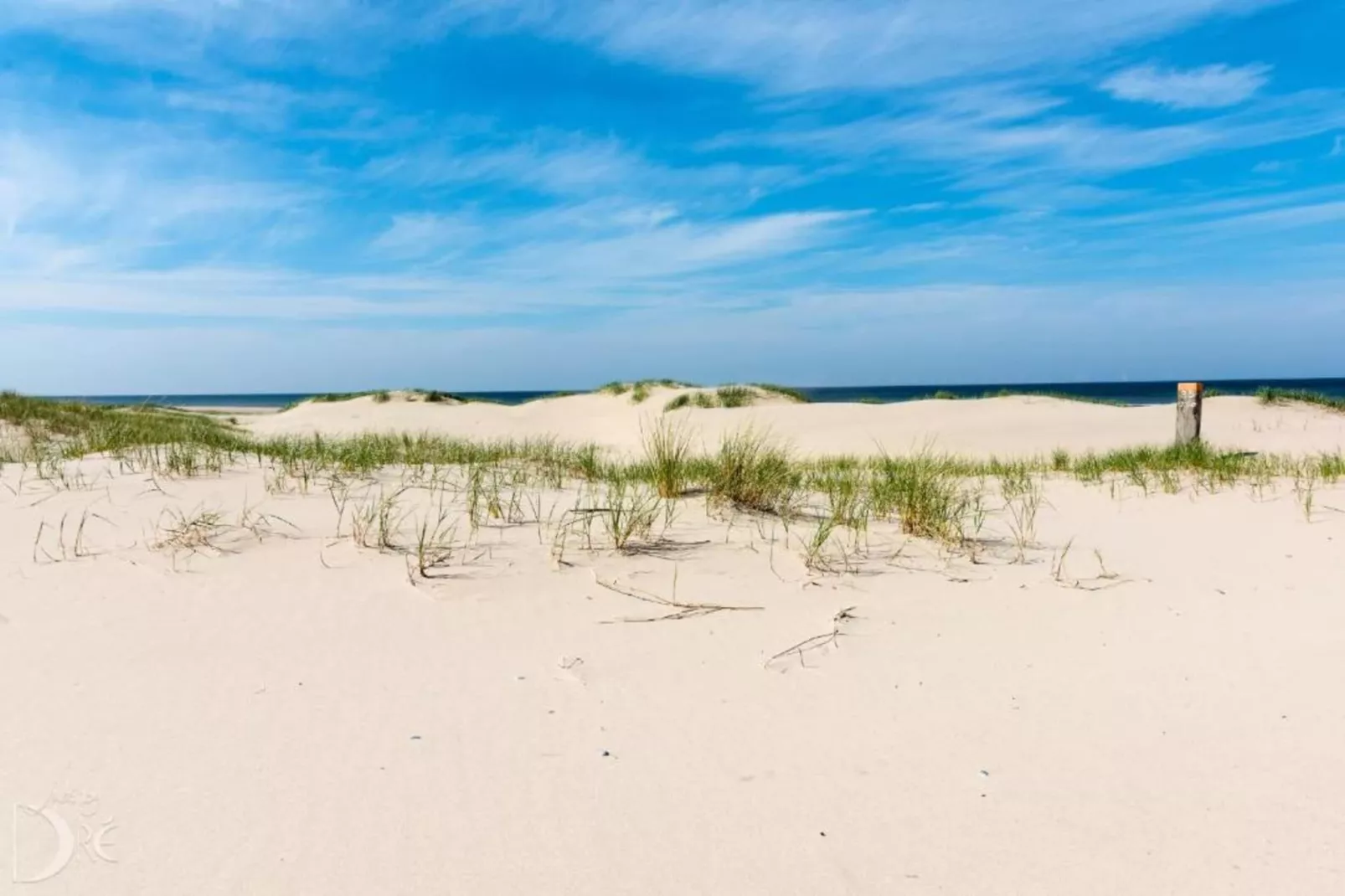 Egmonds Duintje-Areas within 20km in summer