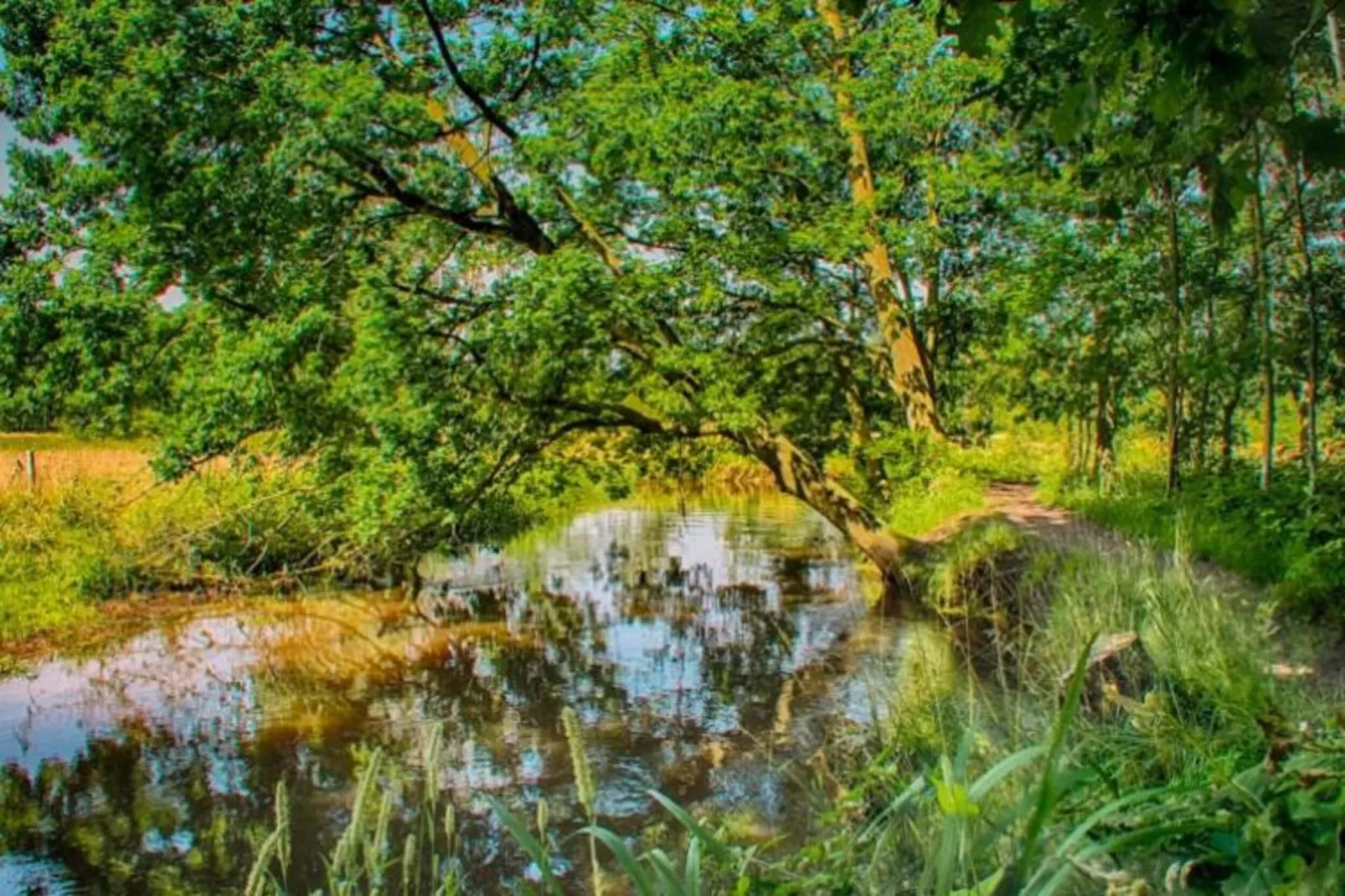 Panweg 14-Gebiete Sommer 20 km