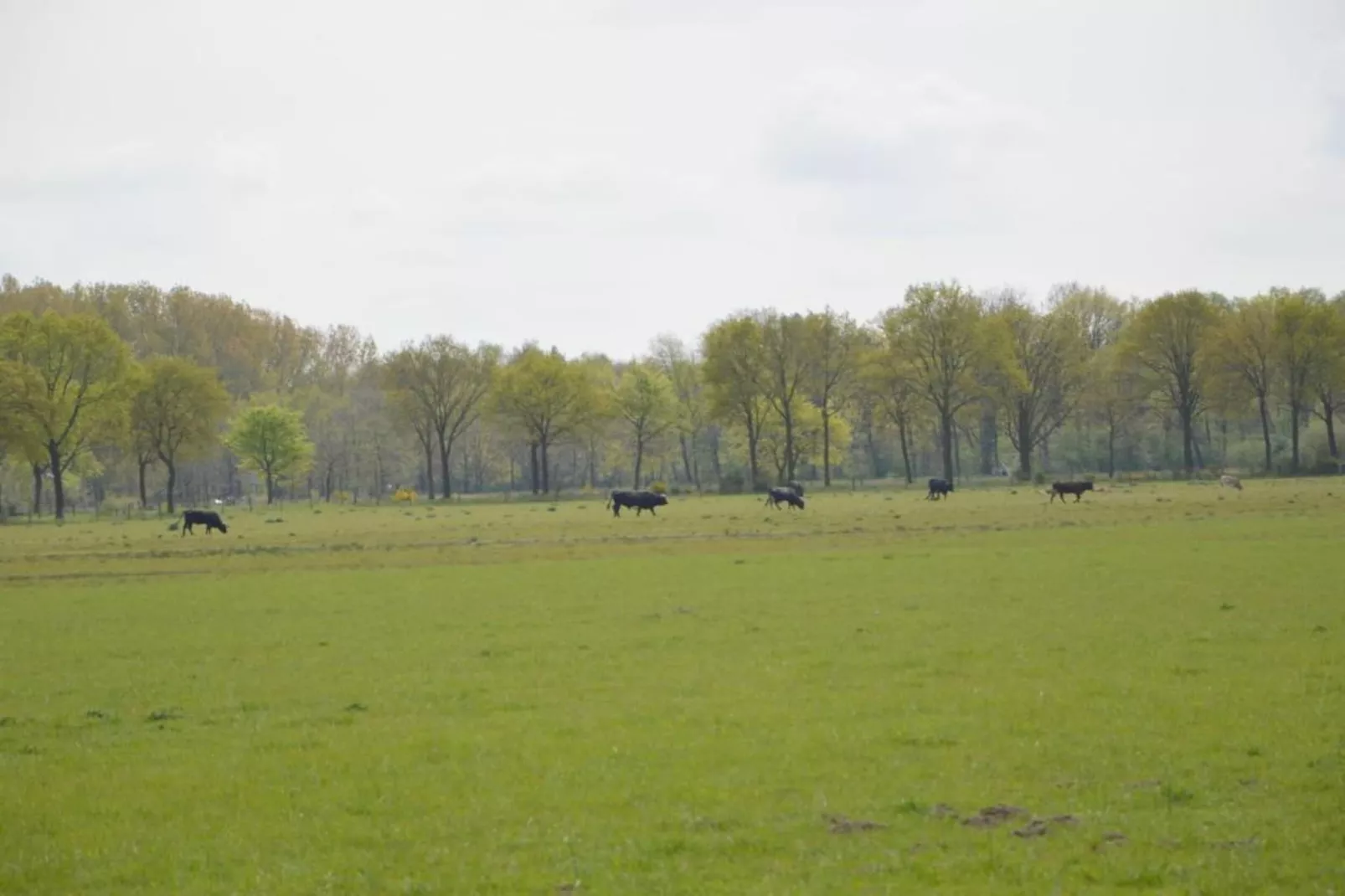 Bungalow 87-Zones été à 20 km