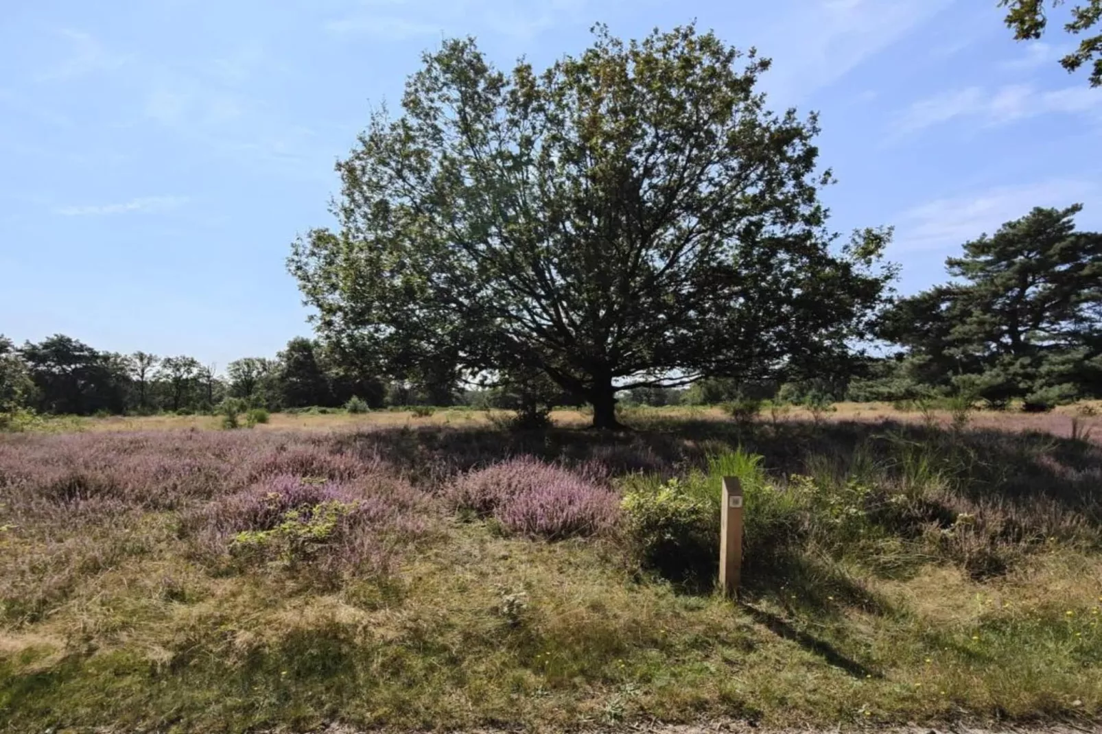 Buitenhof De Leistert 18-Areas within 20km in summer
