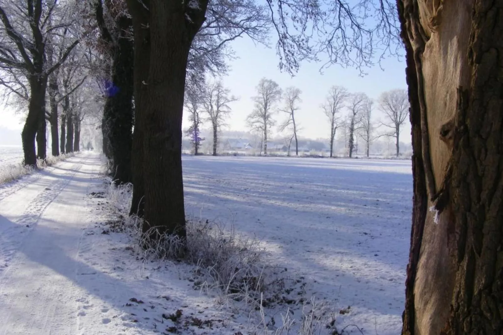 Huus in 't Hagt-Area within 20km in winter