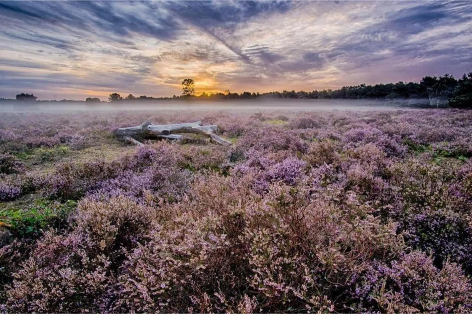 Buitenplaats Holten 8-Areas within 5km in summer