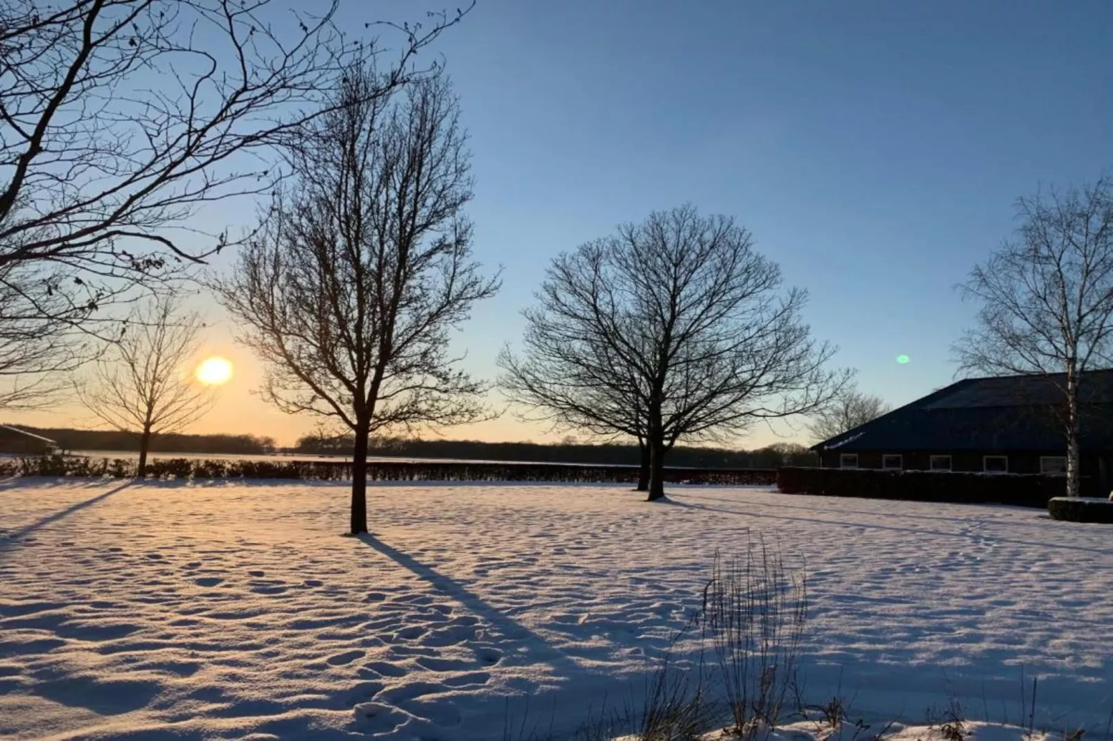 Recreatiepark Tolplas 1-Area within 5km in winter