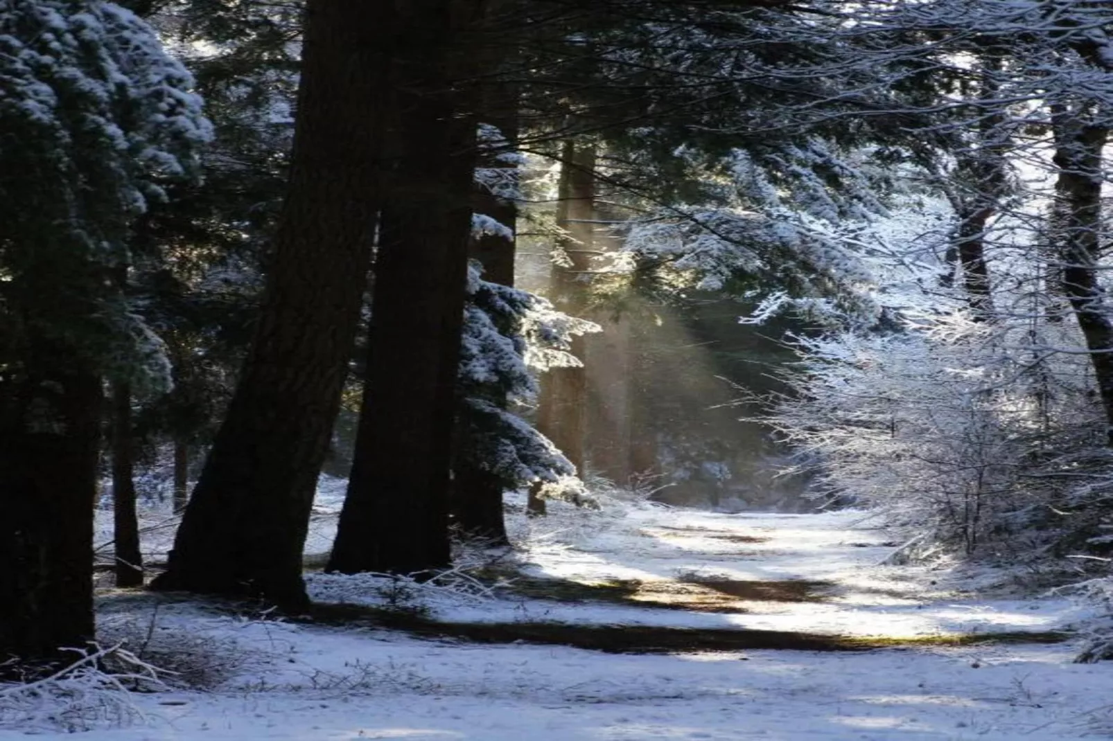 Residence de Eese 15-Zones hiver à 20 km
