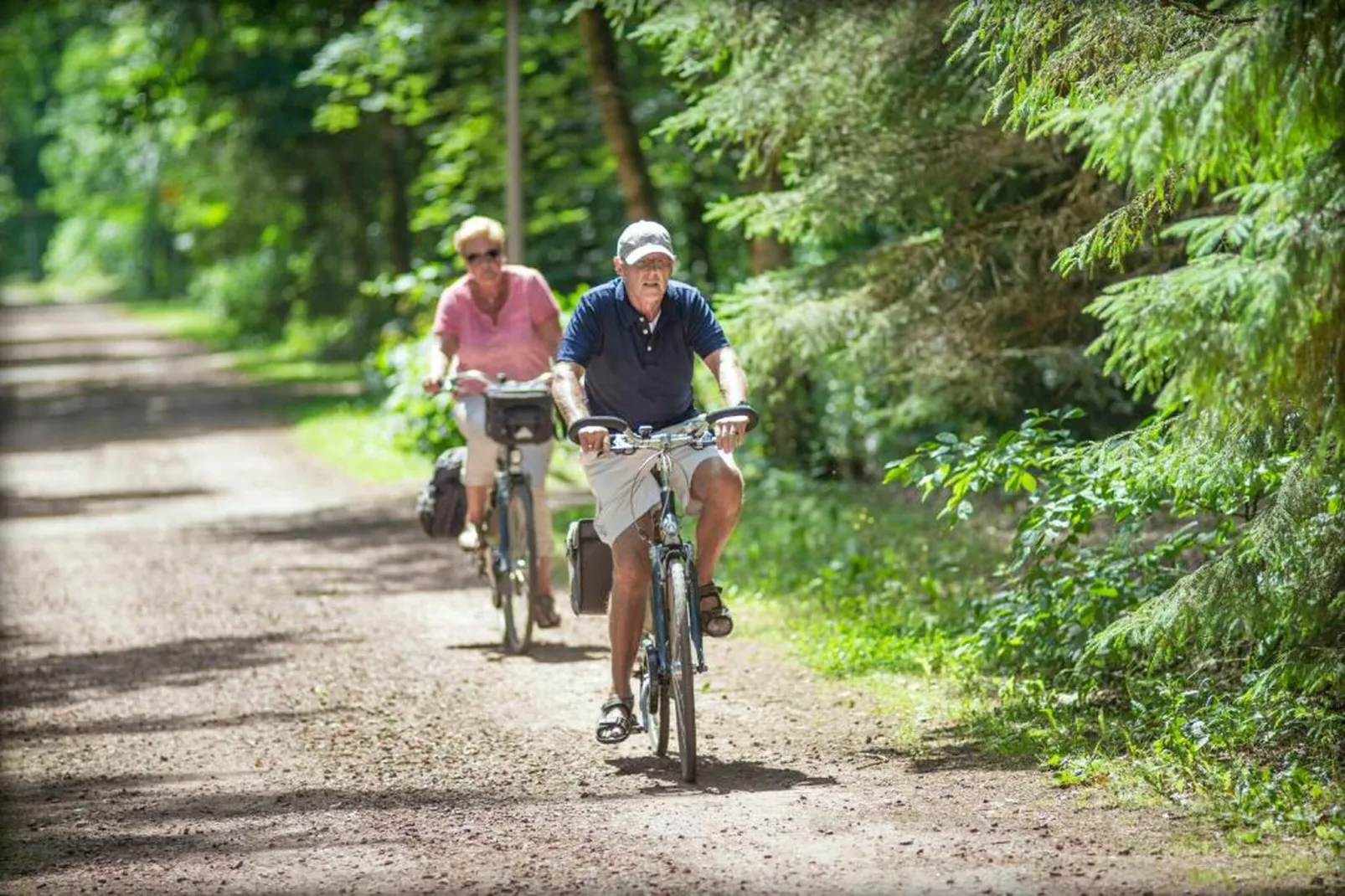 RCN Vakantiepark de Roggeberg 11-Areas within 20km in summer