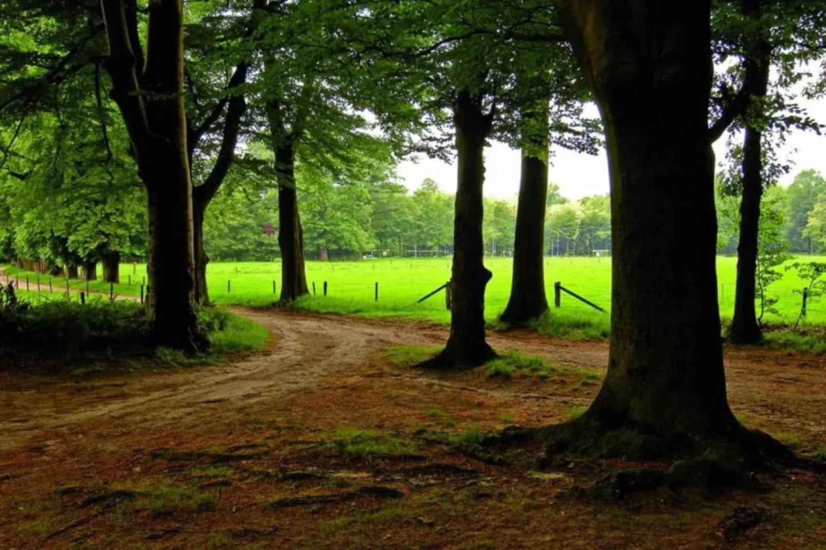 Lyts Sypenstien-Areas within 5km in summer