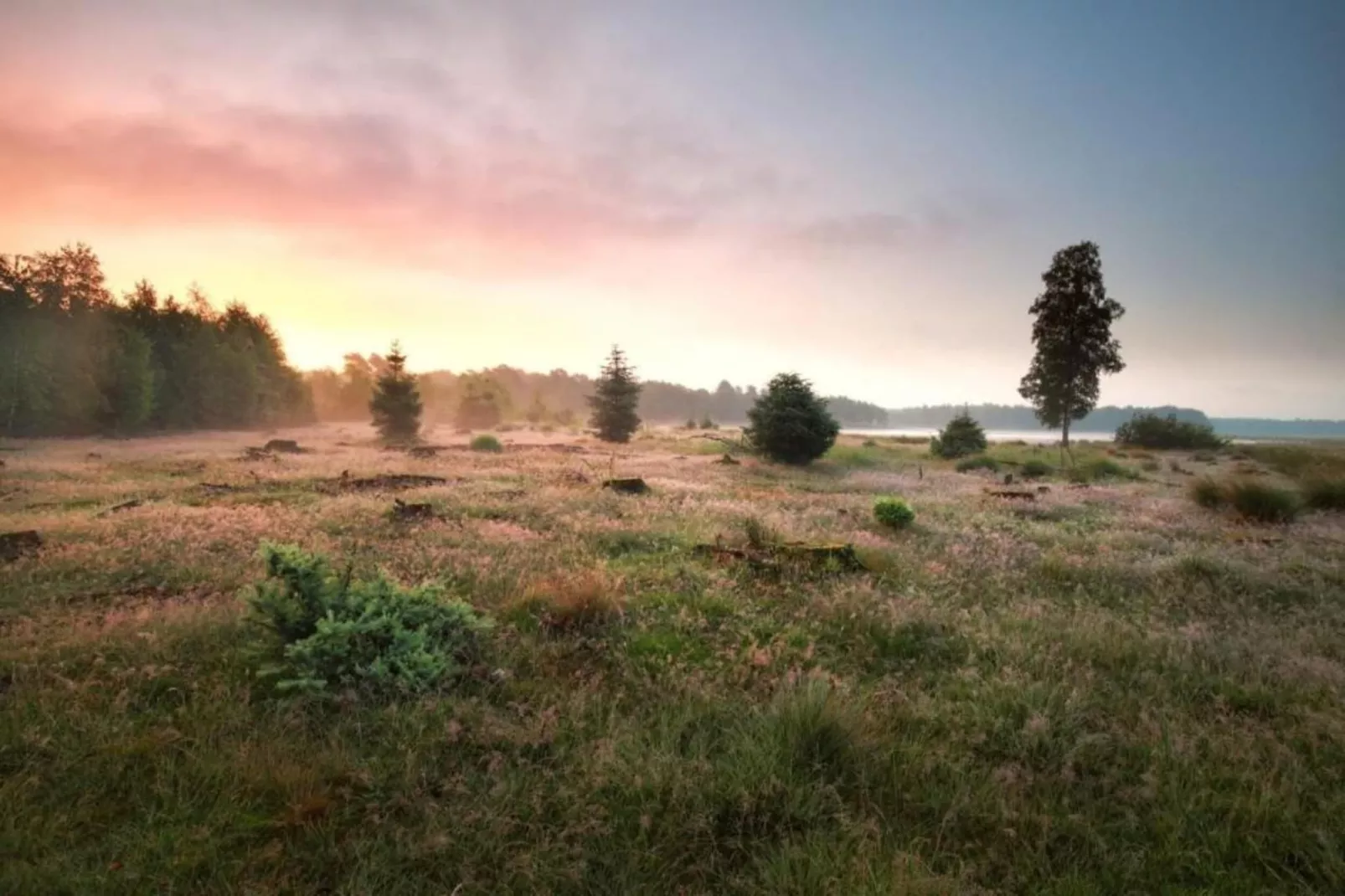 RCN Vakantiepark de Noordster 1-Zones été à 20 km