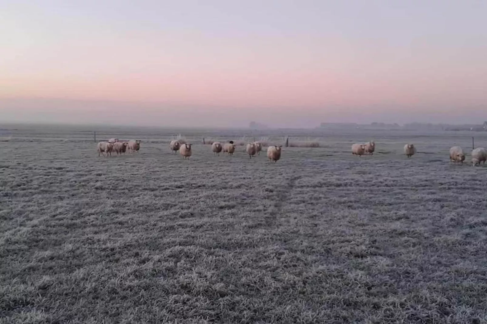 Recreatiepark Idskenhuizen 10-Gebiete Sommer 20 km