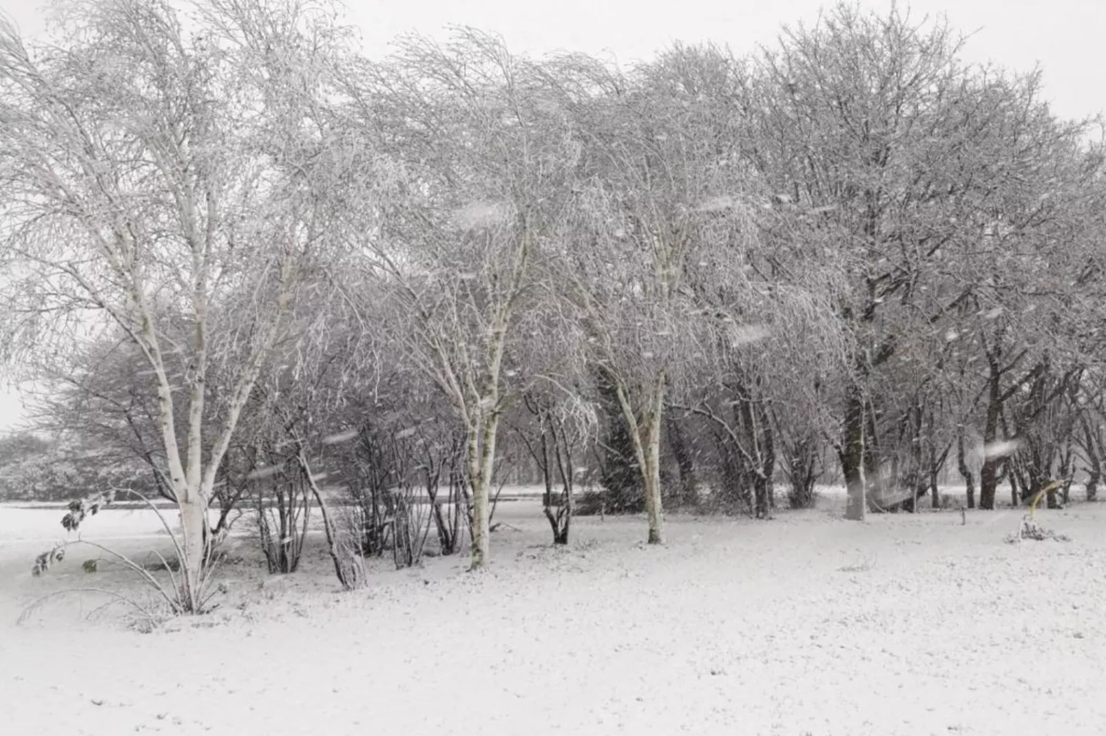 Parc de Kievit 20-Gebiet Winter 20 km
