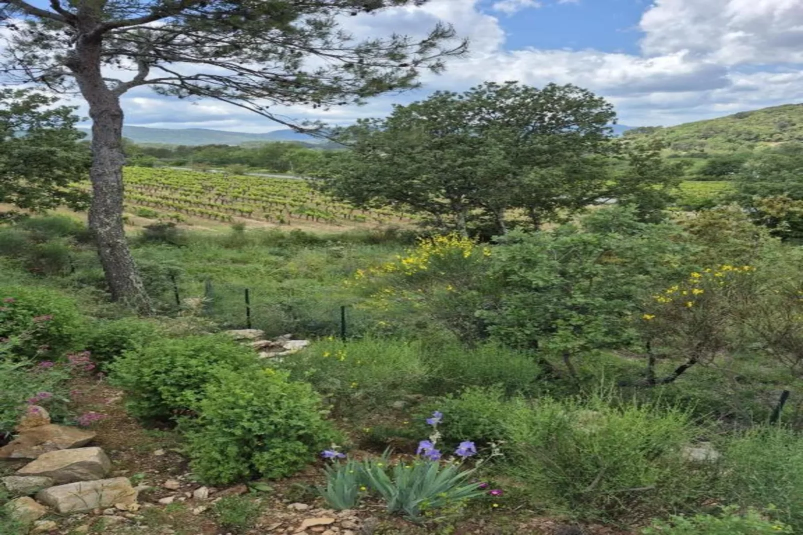 Villa Maeva-Zones été à 20 km