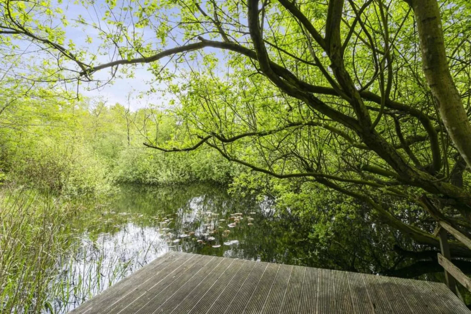 Buitenplaats Gerner 8-Areas within 20km in summer