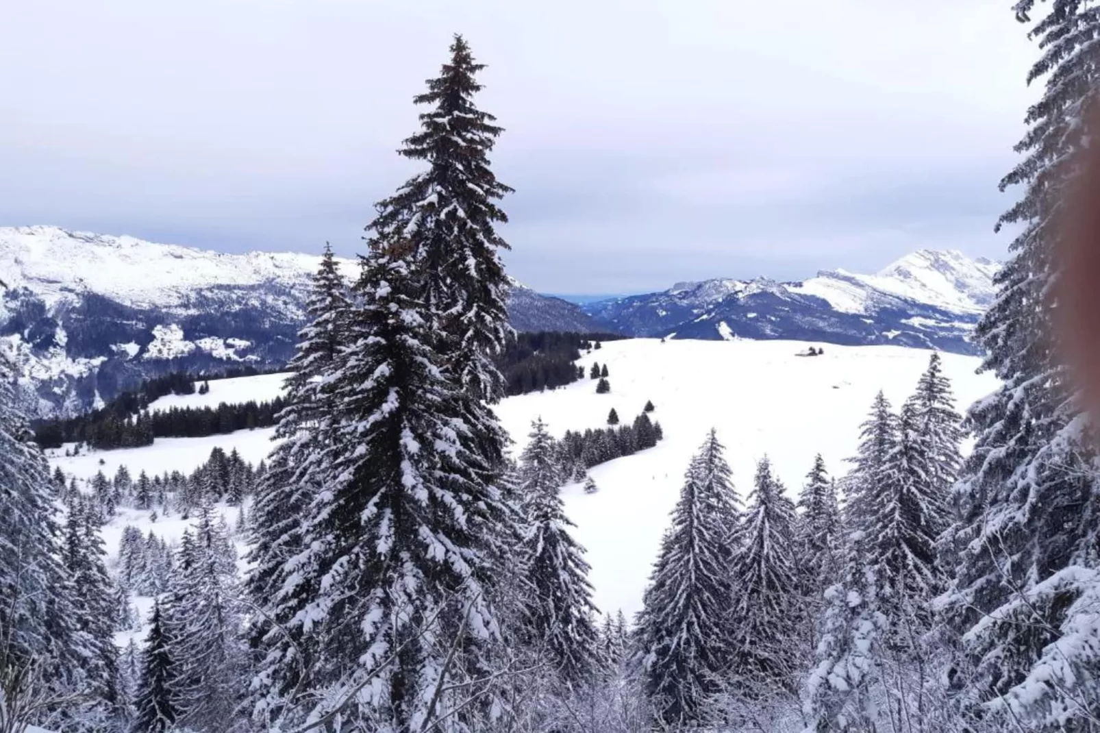 Résidence Prestige Mendi Alde 3-Area within 20km in winter