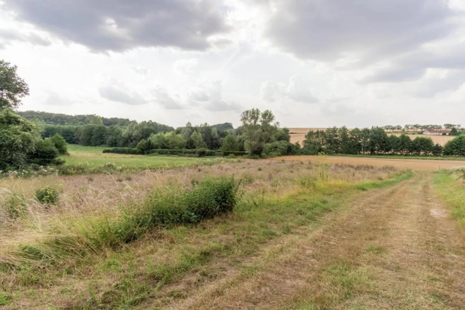 La Campagne-Gebiete Sommer 5 km