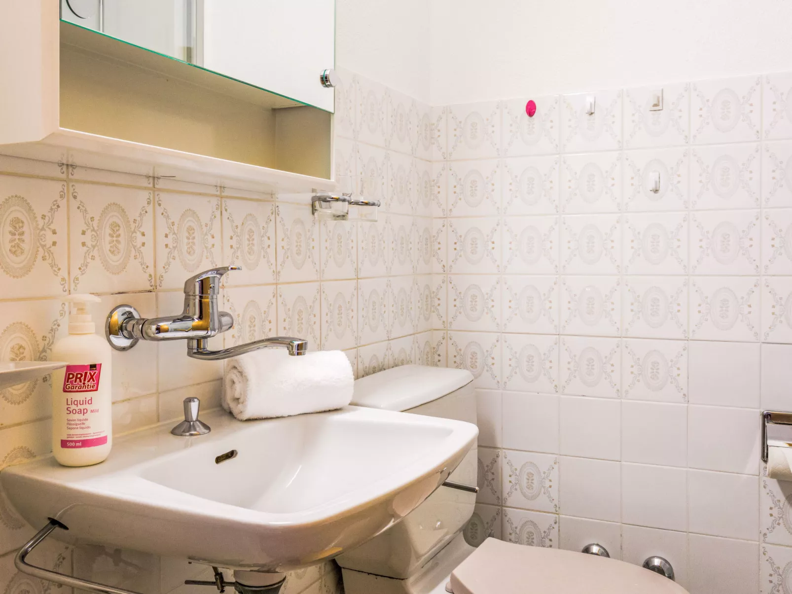 Les Erables Apt 361-Inside