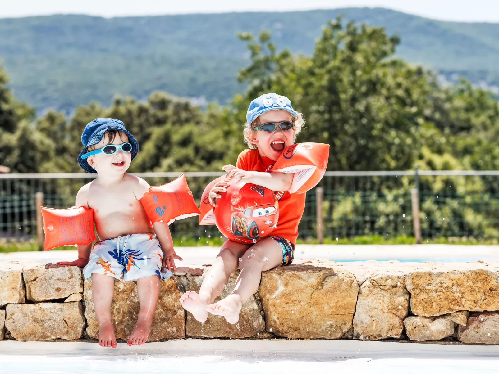 Domaine de Sévenier Micocoulier-Dehors