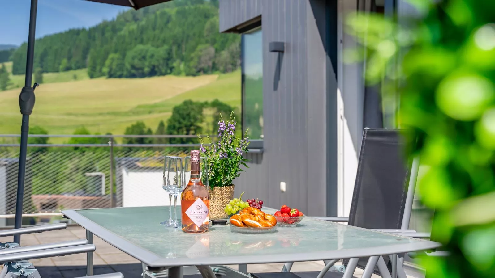 Pabstin-Terrasse / balcon
