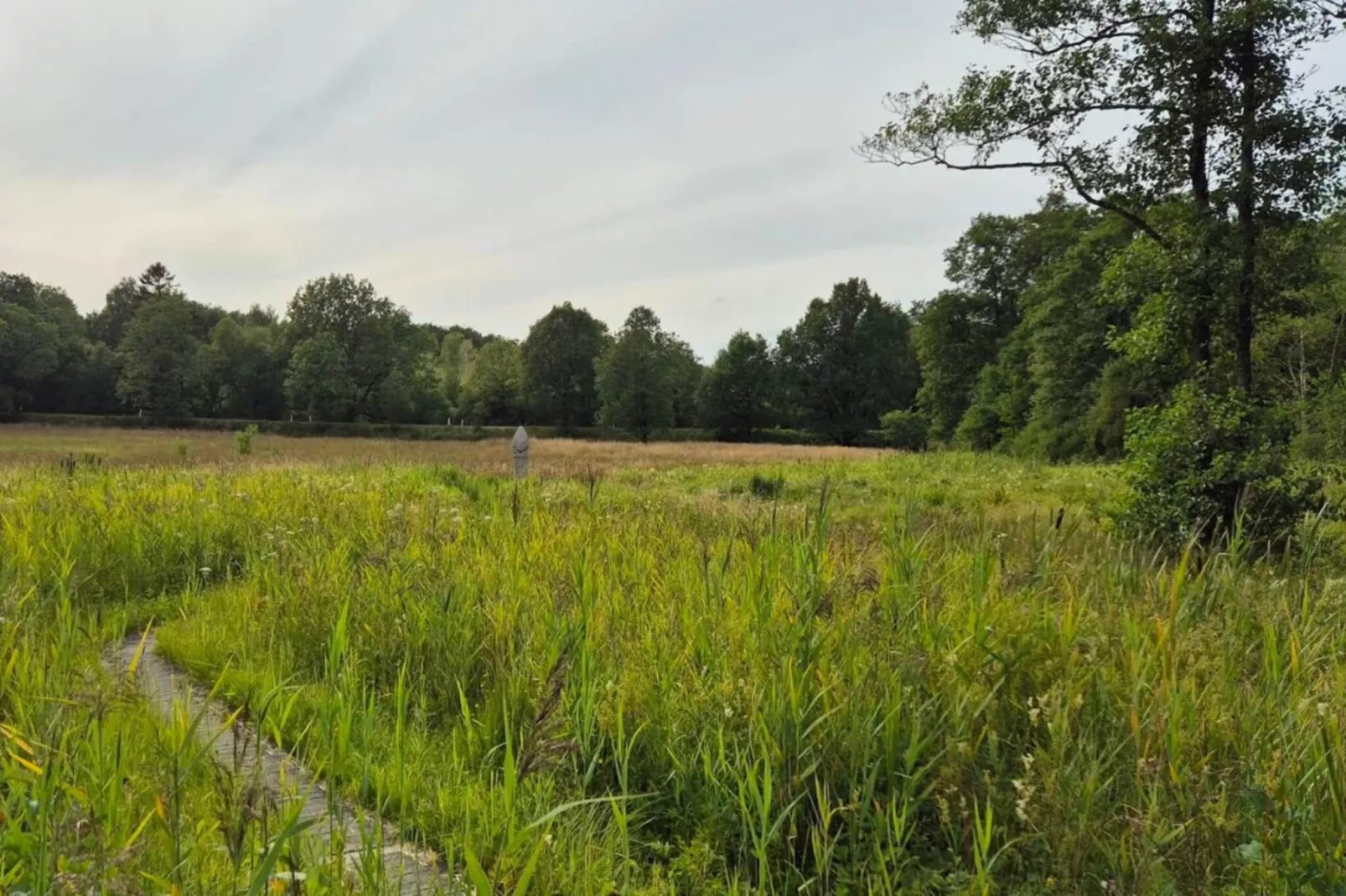 4 person holiday home in Hovborg-By Traum-Untagged