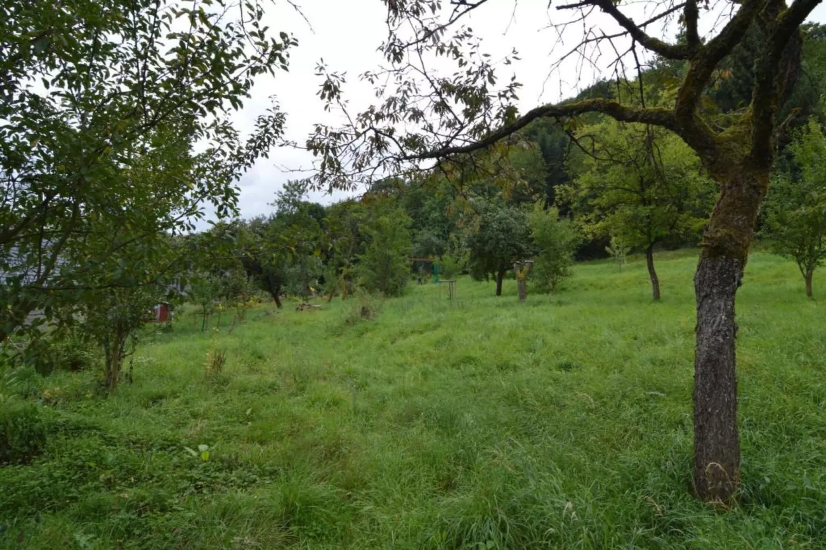 Mobilheim-Areas within 20km in summer