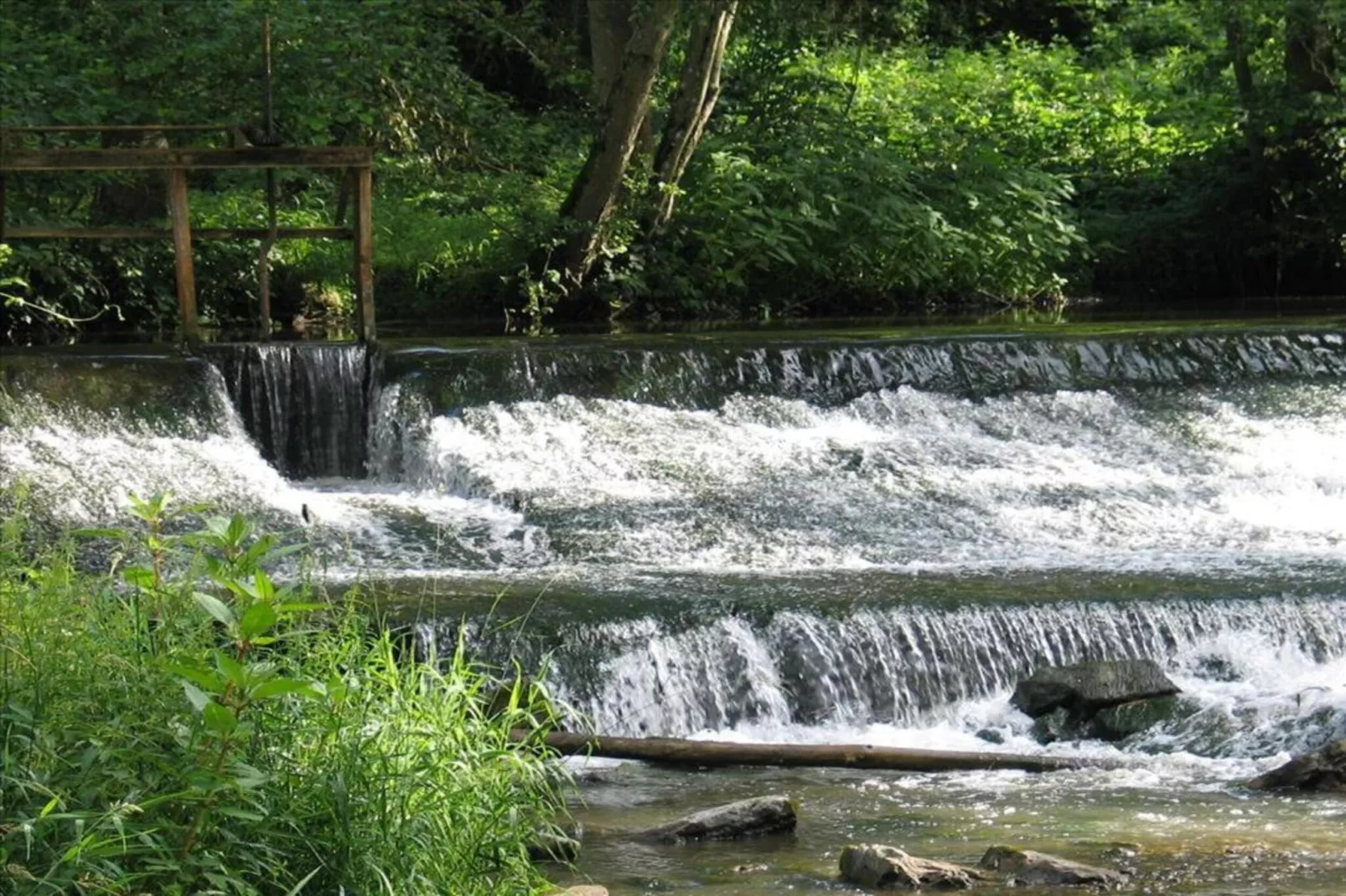 Resort Echternacherbrück 1-Areas within 20km in summer