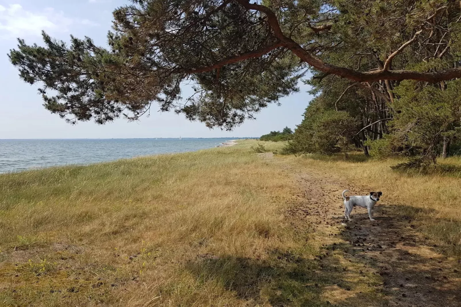 Gutshaus Zicker -Wohnung 4-Areas within 5km in summer