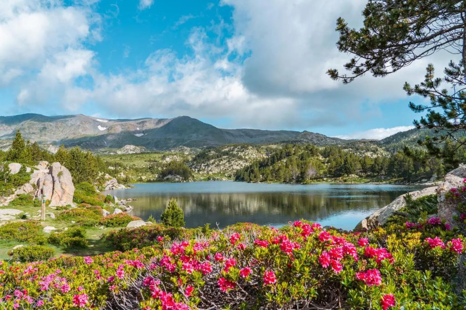 L'Espinet 2-Areas within 20km in summer