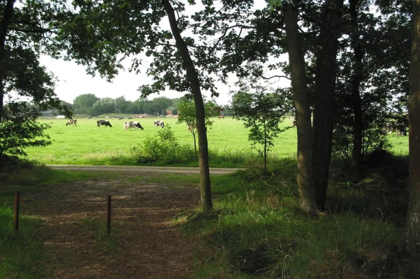 Vakantiepark Schaijk 10-Gebiete Sommer 5 km