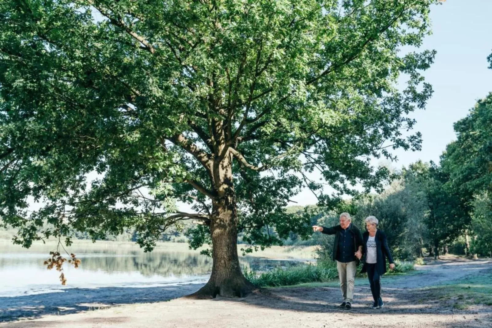 Vakantiepark Latour 5-Areas within 20km in summer